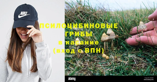 mix Липки
