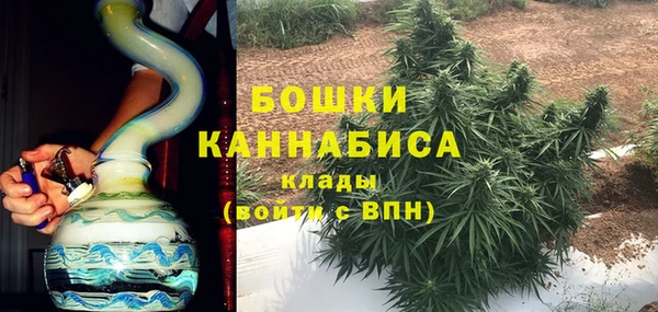 индика Рославль