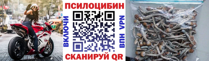 Псилоцибиновые грибы Psilocybe  Сорочинск 