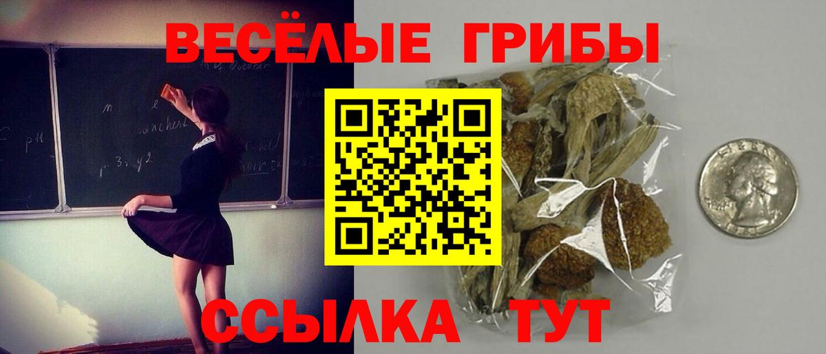 Псилоцибиновые грибы прущие грибы Сорочинск