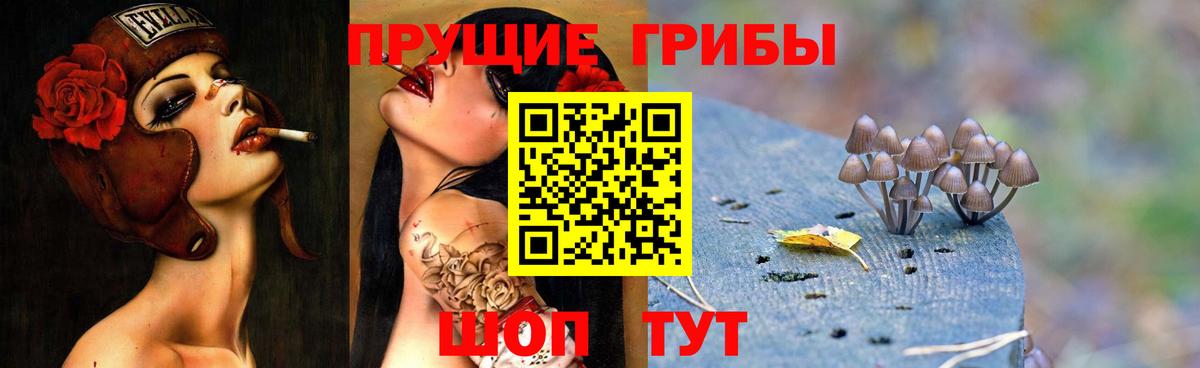 Сорочинск  Галлюциногенные грибы Psilocybe  Вход с VPN 